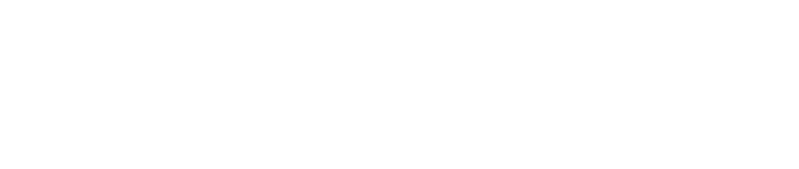 Vision First Consulting