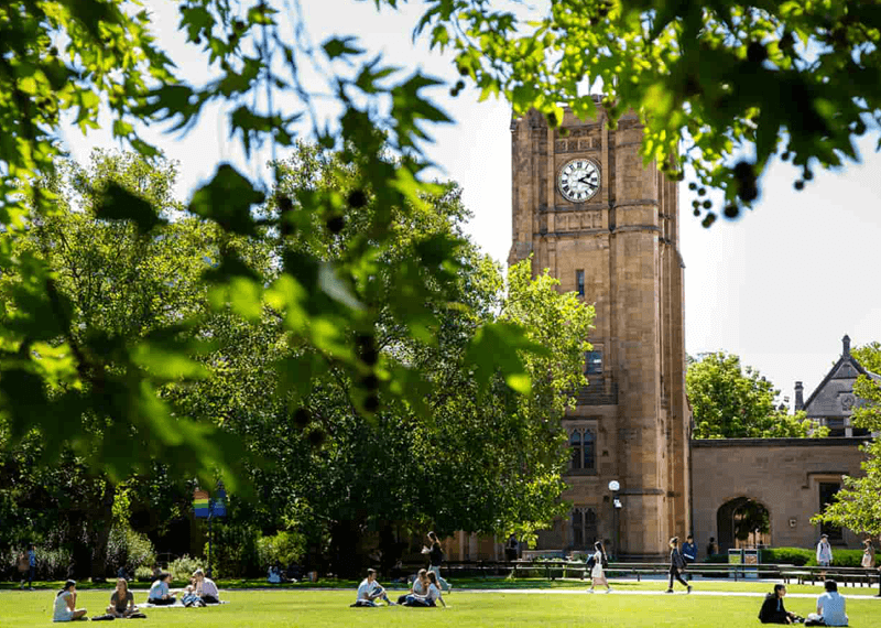university_0002_Layer-2.png