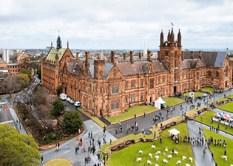 university_0003_Layer-1.png